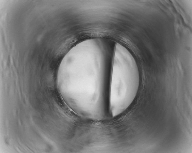 X0000102010258200807180917
