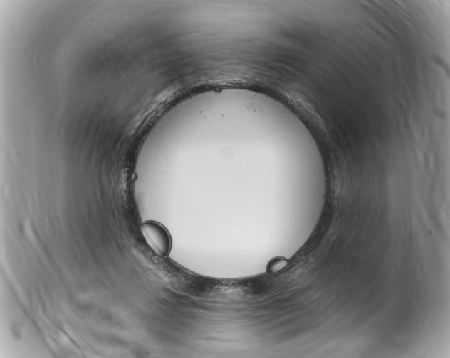 X0000102010260200807180917