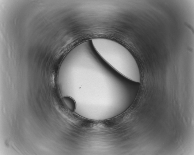 X0000102010262200807180917