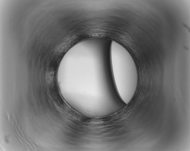 X0000102010263200807180917