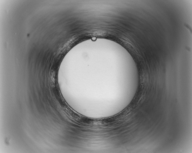 X0000102010264200807180917