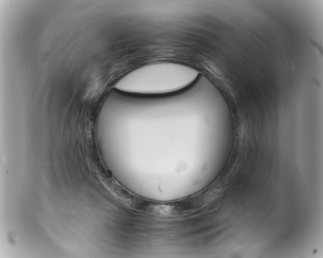 X0000102010265200807180917