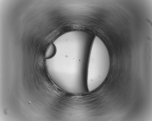 X0000102010266200807180917