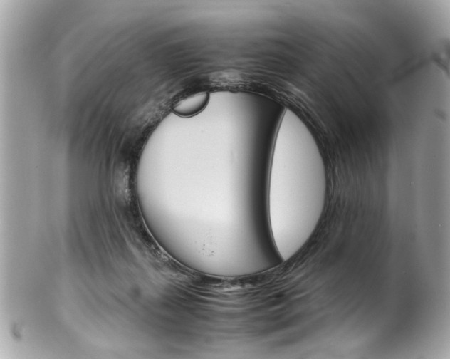 X0000102010267200807180917