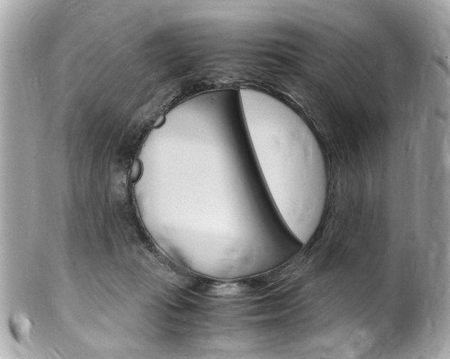 X0000102010269200807180917