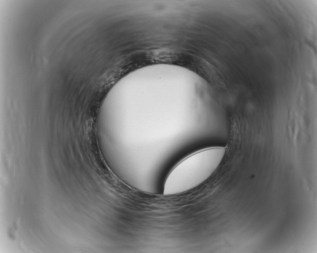 X0000102010271200807180918