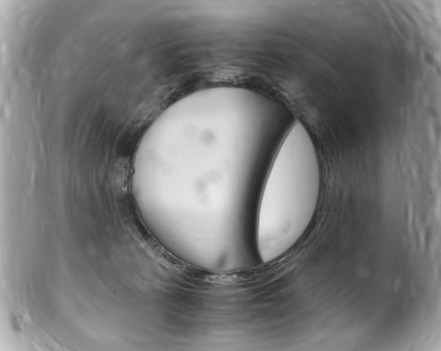 X0000102010273200807180918