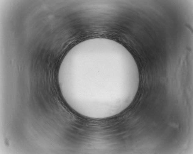 X0000102010276200807180918