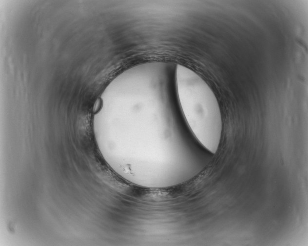 X0000102010278200807180918