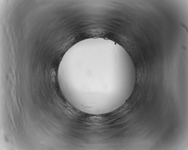 X0000102010279200807180918