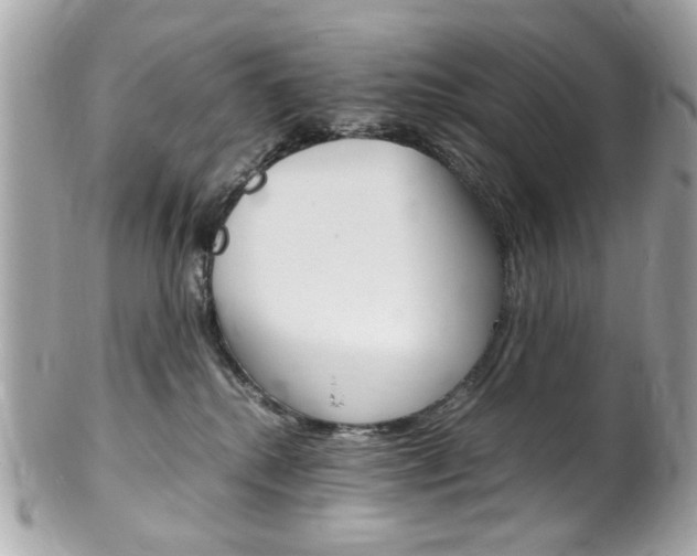 X0000102010280200807180918