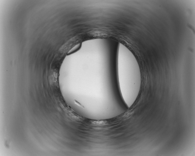 X0000102010281200807180918