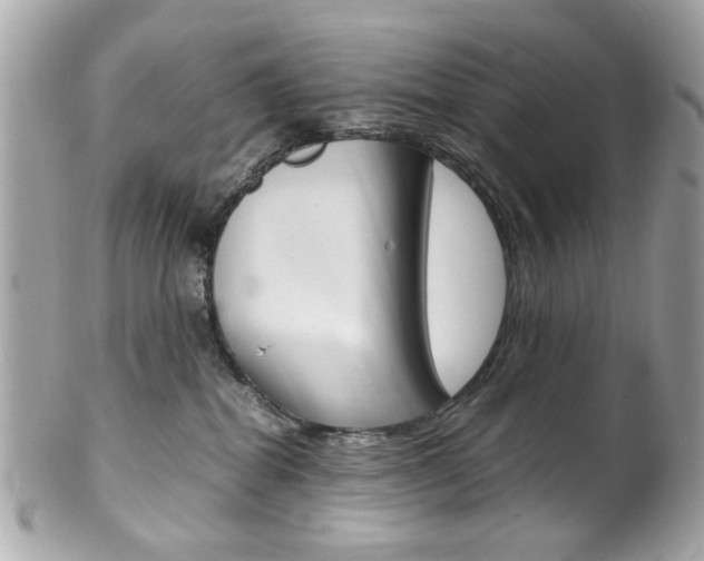 X0000102010282200807180918