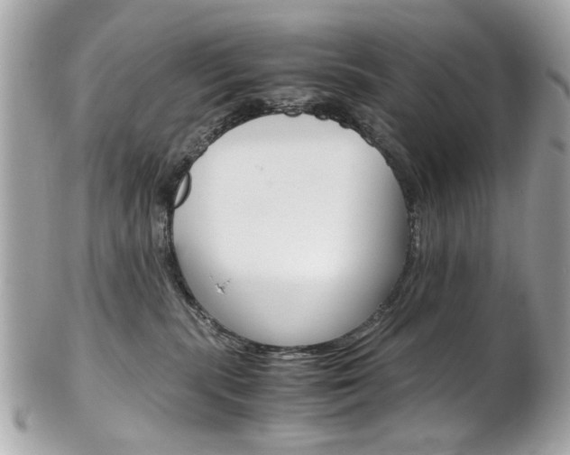 X0000102010283200807180918