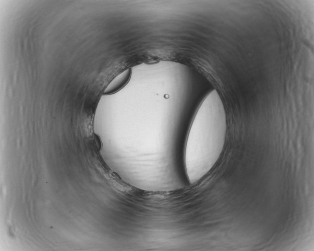 X0000102010285200807180918