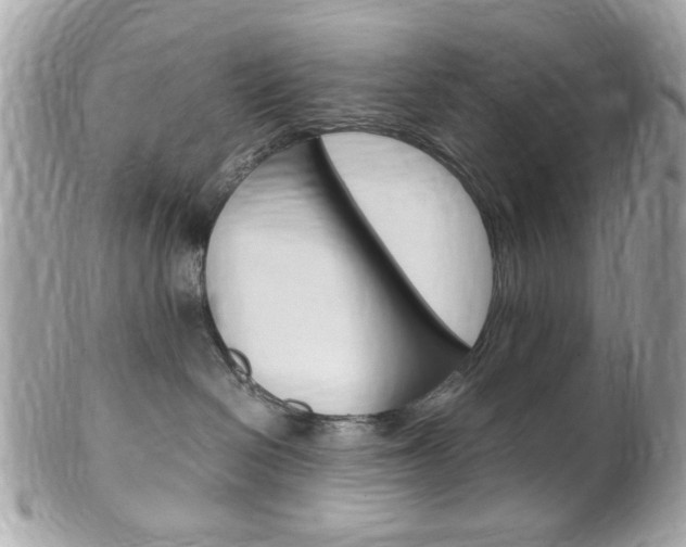 X0000102010286200807180918
