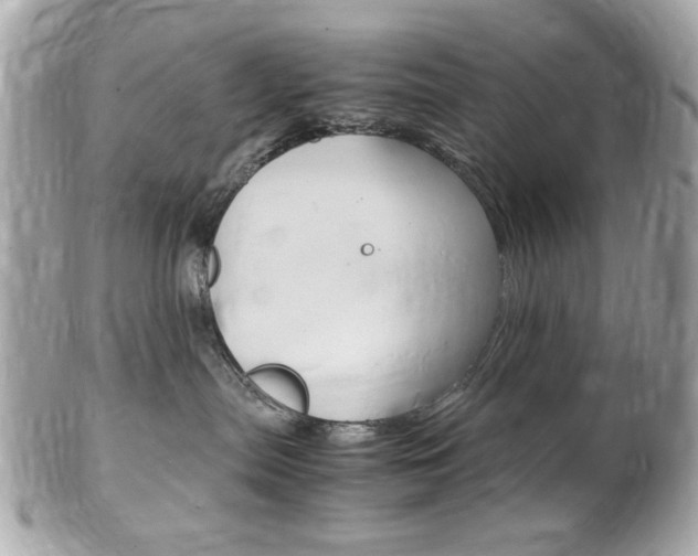 X0000102010287200807180918