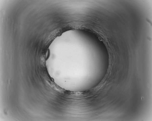 X0000102010288200807180918