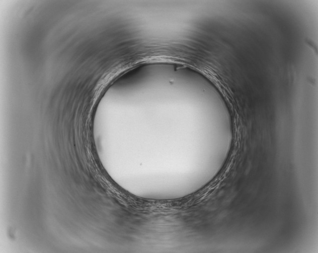 X0000102010289200807180917