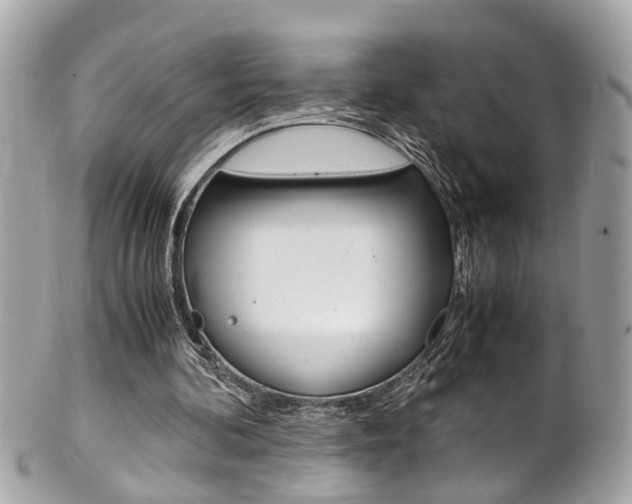 X0000102010292200807180917