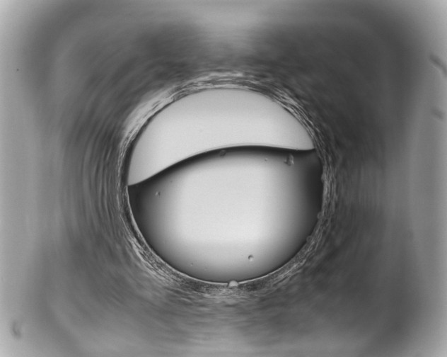 X0000102010293200807180917