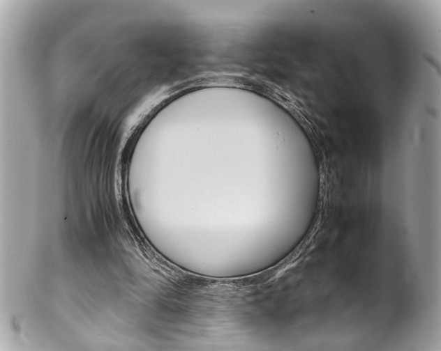 X0000102010294200807180917