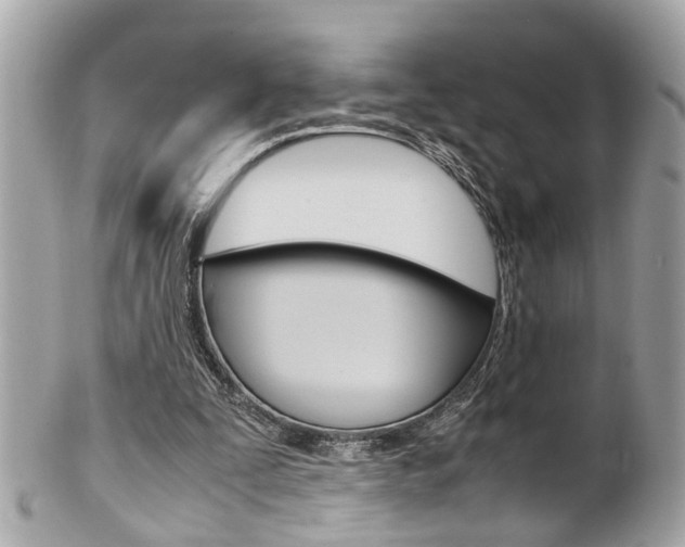 X0000102010295200807180917