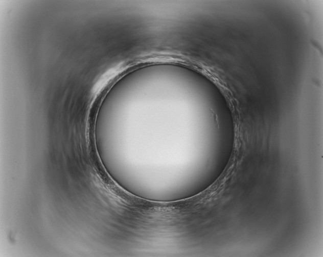 X0000102010296200807180917