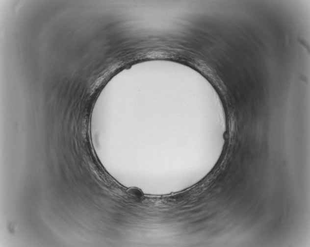 X0000102010297200807180917