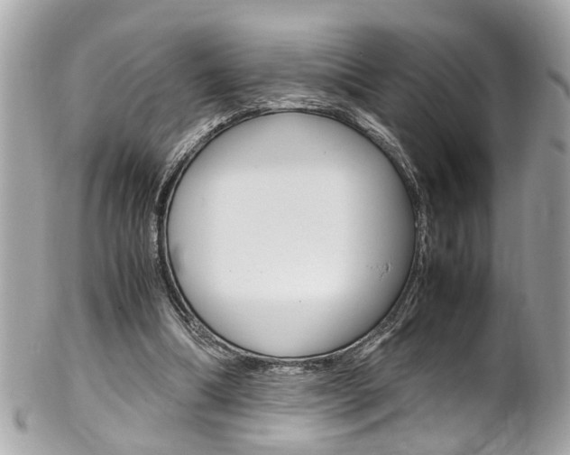 X0000102010298200807180917