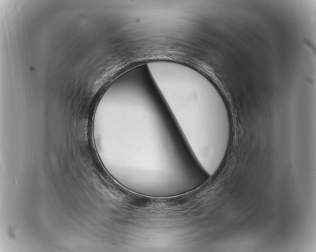 X0000102010299200807180917