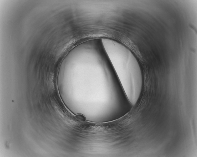 X0000102010300200807180917
