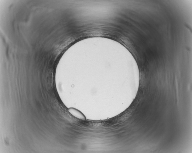 X0000102010301200807180917
