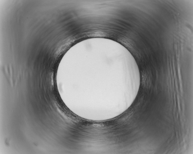 X0000102010302200807180917