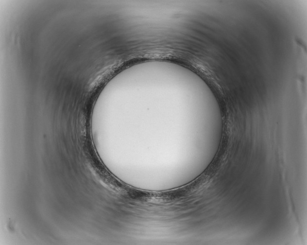 X0000102010303200807180917