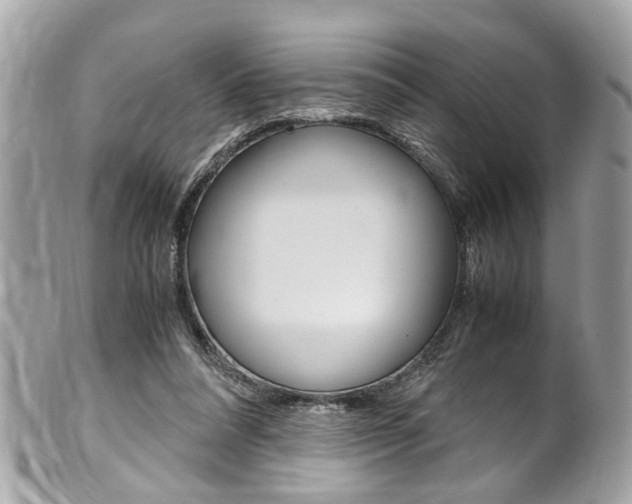 X0000102010304200807180917