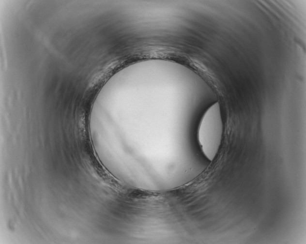 X0000102010306200807180917