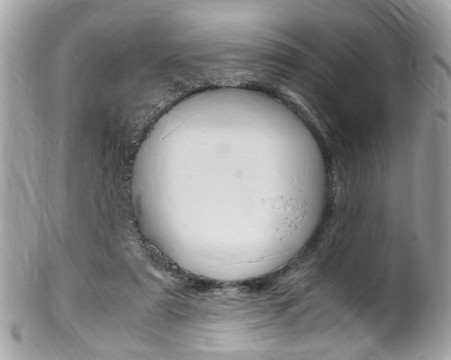 X0000102010307200807180917