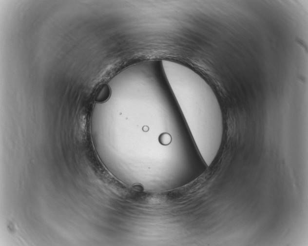X0000102010308200807180917