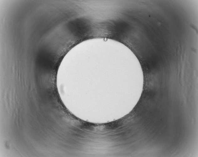X0000102010309200807180917