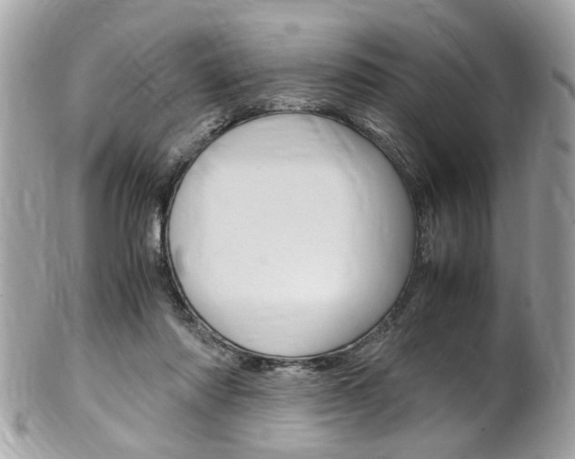 X0000102010310200807180917
