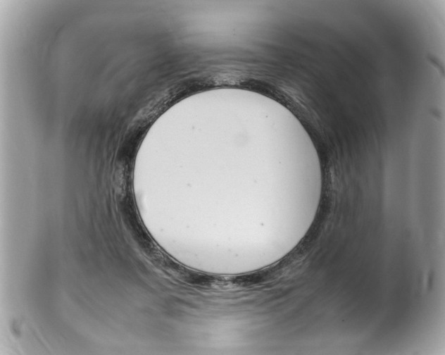 X0000102010311200807180917