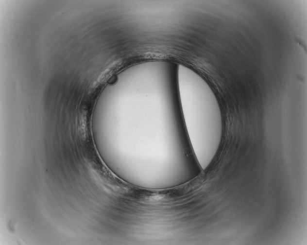 X0000102010312200807180917