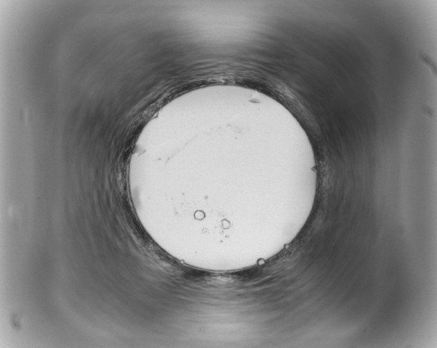 X0000102010313200807180917