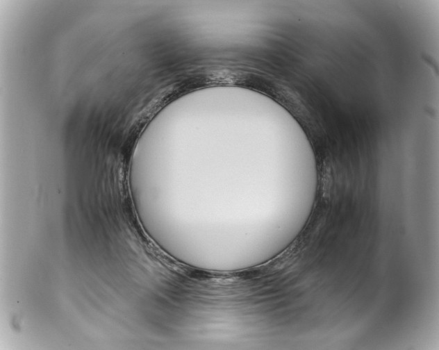 X0000102010314200807180917