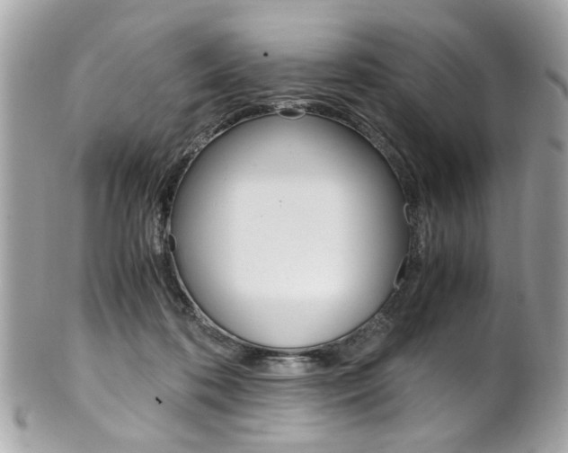 X0000102010316200807180917