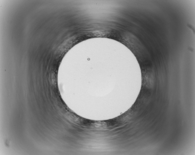 X0000102010317200807180917