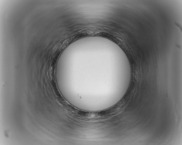 X0000102010319200807180917