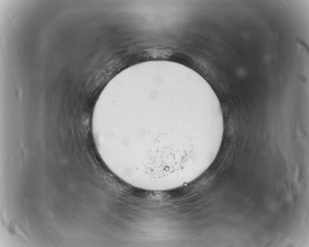 X0000102010321200807180917