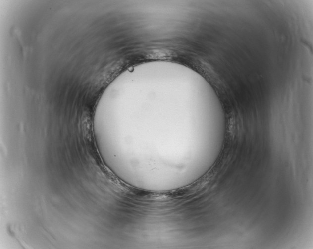 X0000102010322200807180917